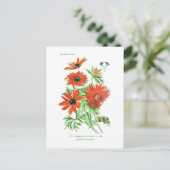 アネモネ角症 ポストカード (スタンド正面)