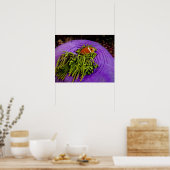 アネモネ風で大きなアネモネ ポスター (キッチン)