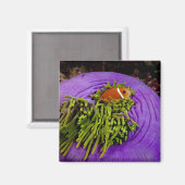 アネモネ風で大きなアネモネ マグネット (正面/裏面)