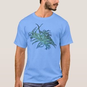 アネモネ4 Tシャツ