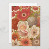 アネモネ | ジョージ・ニコルソン (正面/裏面)