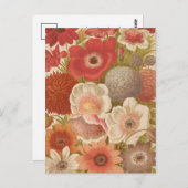 アネモネ | ジョージ・ニコルソン ポストカード (正面/裏面)