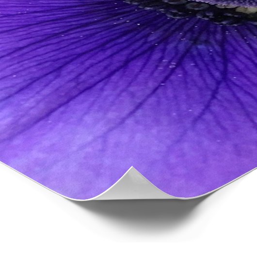 アネモネ ポスター (角)