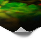 アネモネ ポスター (角)