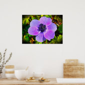 アネモネ ポスター (キッチン)