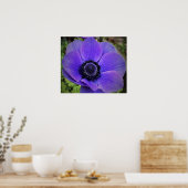 アネモネ ポスター (キッチン)