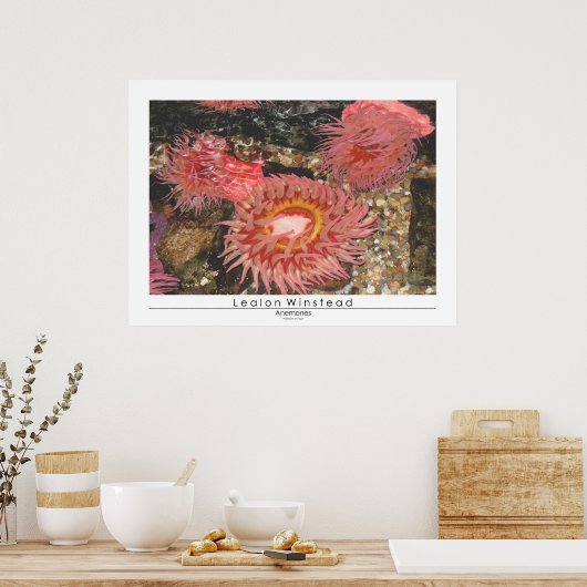 アネモメ ポスター (キッチン)