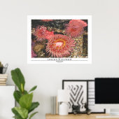 アネモメ ポスター (ホームオフィス)