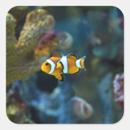 アネモンの魚 スクエアシール