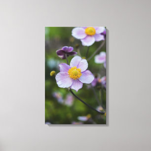アネモンキャンバスプリントプリント キャンバスプリント