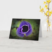 アネモン、カード カード (黄色い花)