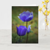 アネモン、カード カード (黄色い花)