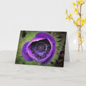 アネモン、カード カード (黄色い花)