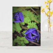 アネモン、カード カード (黄色い花)