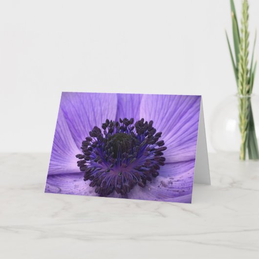 アネモン、カード カード (正面)