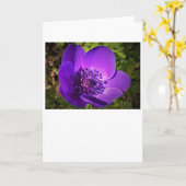 アネモン、カード カード (黄色い花)