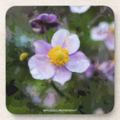 アネモン コースター (正面)