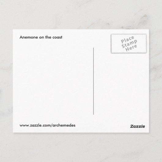 アネモン ポストカード (裏面)