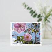 アネモ日本のネ ポストカード (スタンド正面)