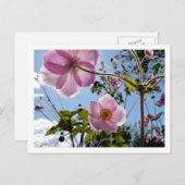 アネモ日本のネ ポストカード (正面/裏面)