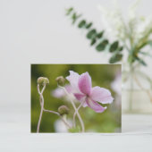 アネモ日本のネ | Herbstanemone ポストカード (スタンド正面)