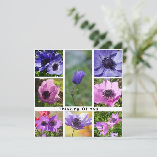 『アネモ考えるネの写真コラージュ』 セーブザデート (スタンド正面)