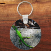 アノール6704 キーホルダー (正面)