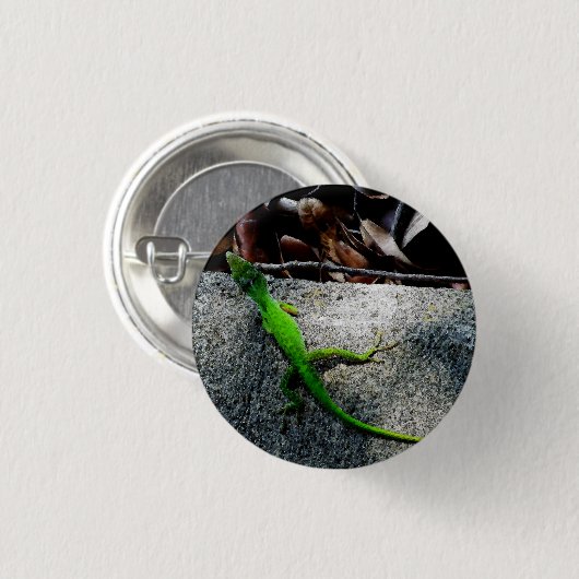 アノール6704 缶バッジ (正面&裏面)