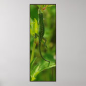 アノール95 ポスター (正面)