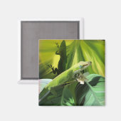 アノール・リザード マグネット (正面/裏面)