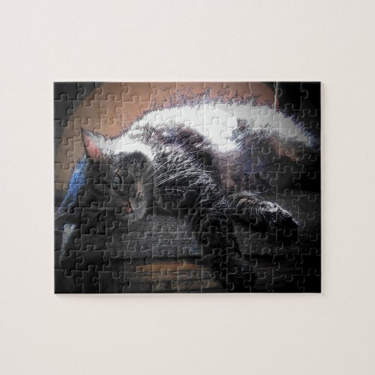 アハサン ジグソーパズル (横)