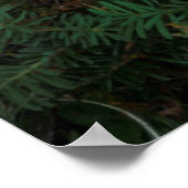 アハラタケのキノコをモウィッチレイクで飛ぶ ポスター (角)