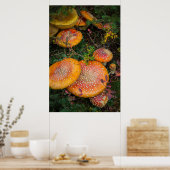 アハラタケのキノコをモウィッチレイクで飛ぶ ポスター (キッチン)