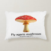 アハラタケを白い背景に乗せる アクセントクッション (正面)