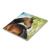 アハルテケの雄馬 タイル (側面)