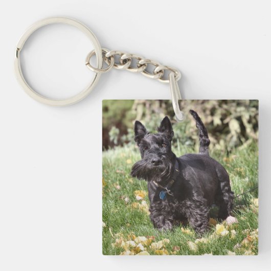 アハ！ キーホルダー (正面)