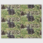 アハ！ ラッピングペーパー (フラット)