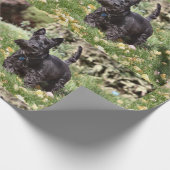 アハ！ ラッピングペーパー (角)