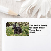 アハ！ ラベル (インサイチュ)