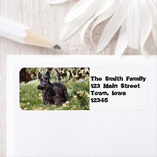 アハ！ ラベル (インサイチュ)