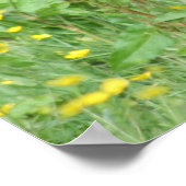 アバディーンおもしろいアンガスカウポスタープリント ポスター (角)