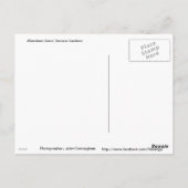 アバディーンスコットランドユニオンテラスガーデンズ ポストカード (裏面)