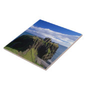 アバディーン、スコットランド。ダンノタール城。 タイル (側面)