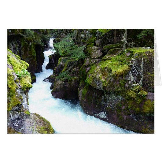 アバランシェ渓谷Iアットグレイシャーナショナルパーク (正面横)