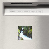 アバランシェ渓谷Iアットグレイシャーナショナルパーク マグネット (インサイチュ (食洗機))