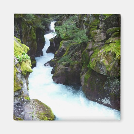 アバランシェ渓谷Iアットグレイシャーナショナルパーク マグネット (正面)