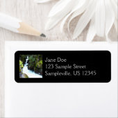 アバランシェ渓谷Iアットグレイシャーナショナルパーク ラベル (インサイチュ)