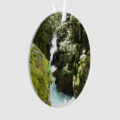 アバランシェ渓谷IIアットグレイシャナショナルパーク オーナメント (正面)