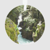 アバランシェ渓谷IIアットグレイシャナショナルパーク オーナメント (裏面)