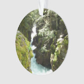 アバランシェ渓谷IIアットグレイシャナショナルパーク オーナメント (正面)